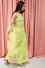 Mahrani Embroidered Nur Saree