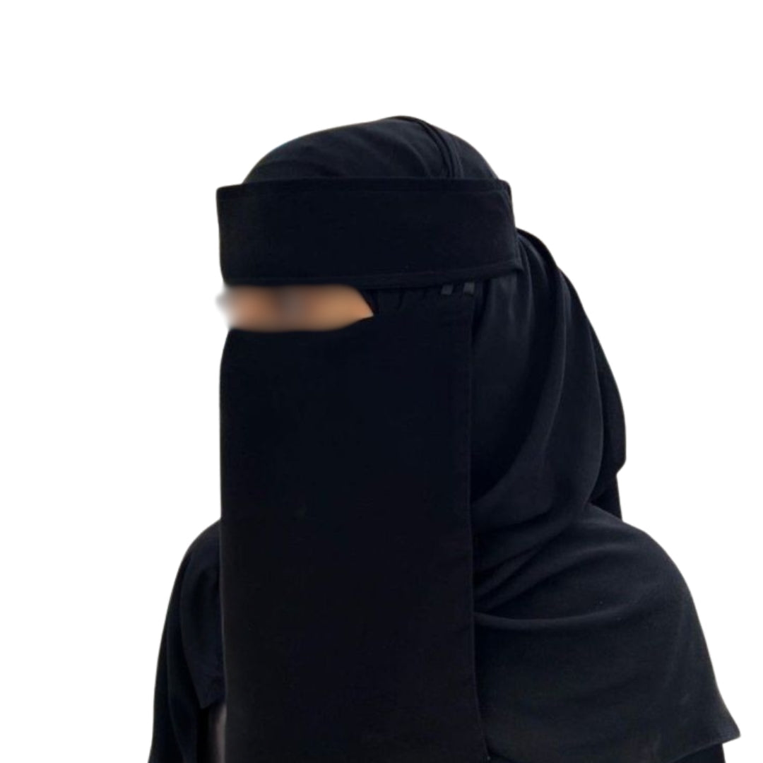 Saudi Naqab